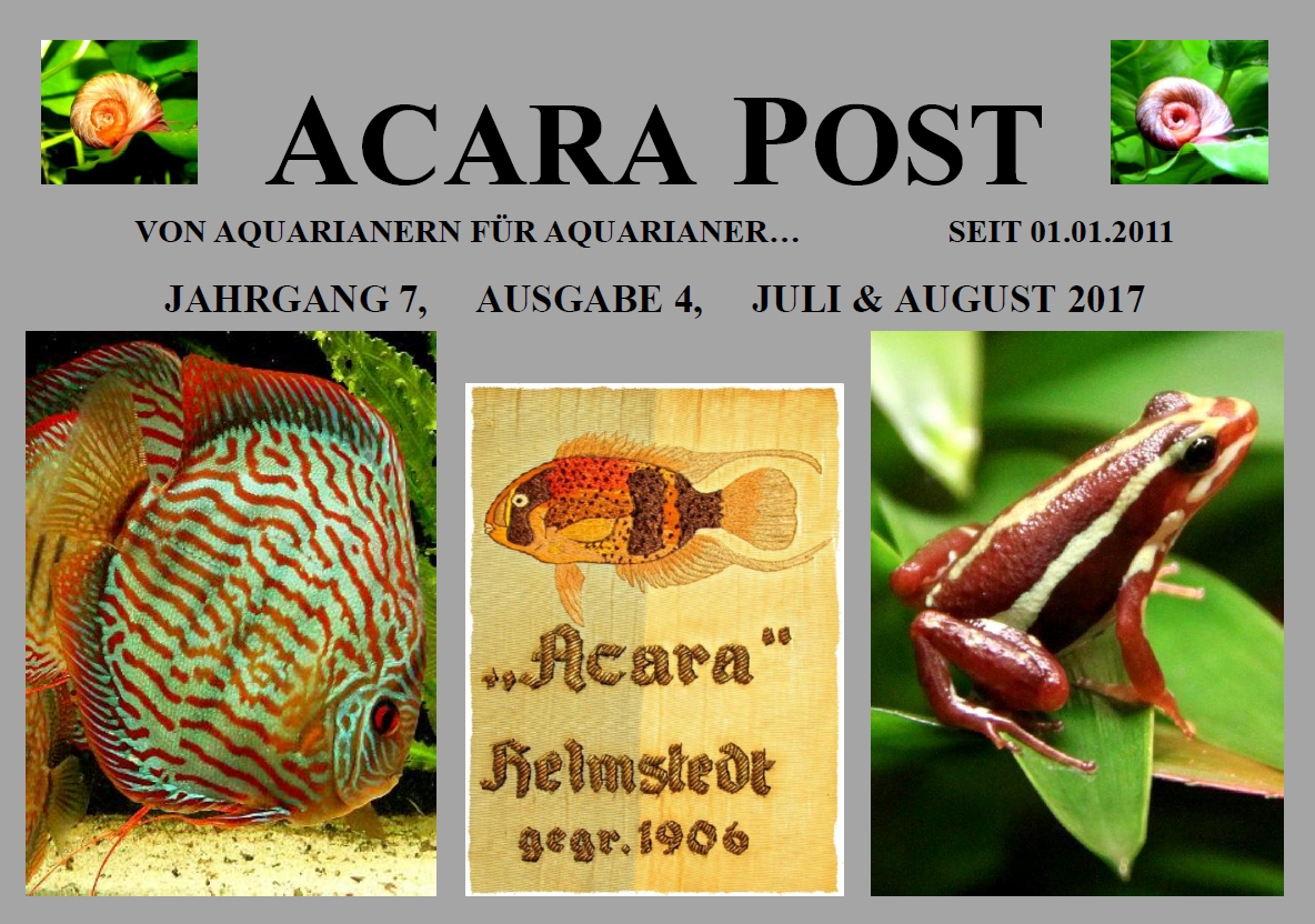4.Acara Post Juli August 2017